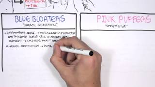 COPD  Overview and Pathophysiology PART I [upl. by Bethena]