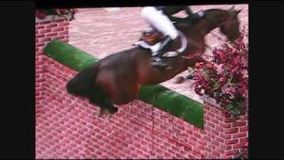 Puissance WIHS  Horse jumps 7 foot wall [upl. by Ahsayn]