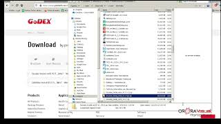 Golabel  Software Download and Installation Part I [upl. by Anallese]