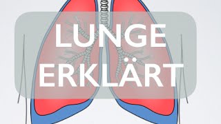 Lunge  Organ  Medizin Grundlagen [upl. by Icnan]