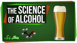 The Science of Alcohol From Beer to Bourbon [upl. by Wernsman]