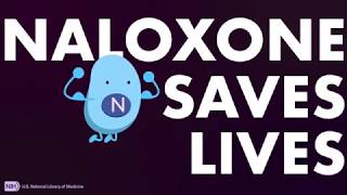 How Naloxone Saves Lives in Opioid Overdose [upl. by Kliment]