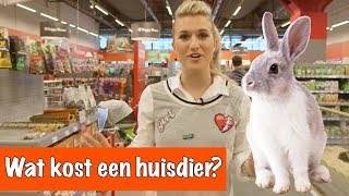 Wat kost een huisdier  DierenpraatTV [upl. by Nyltiac]