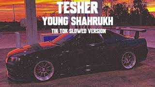 Tesher  YOUNG SHAHRUKH  Tik Tok Slowed Version  i got 500 dollars in cash [upl. by Merow769]