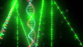 Stellaris RNA Fluorescence In Situ Hybridization FISH Mechanism [upl. by Omland]